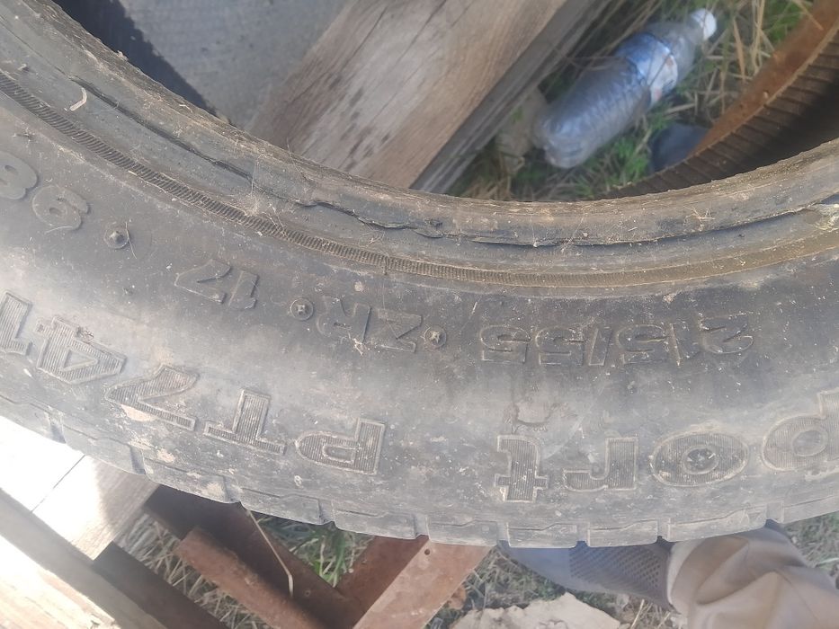 Еки ризина летный