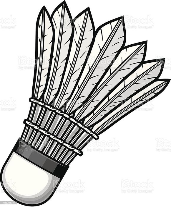 Бадминтон в Алматы