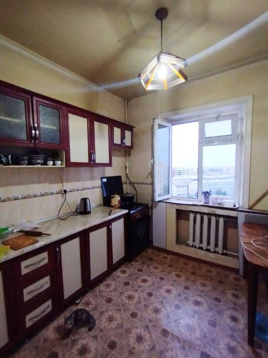 shayhontohur jar ariqda