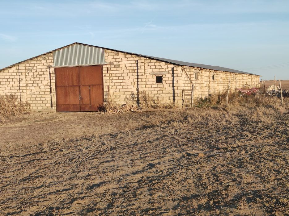 Продается крестьянское хозяйство (КХ)