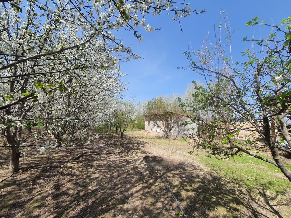 Yer sotiladi 18 sotix. Sotixi 7000$ dan sotiladi