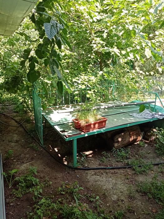 Продаётся дом г. Алмалык или меняю на квартиру в Ташкенте