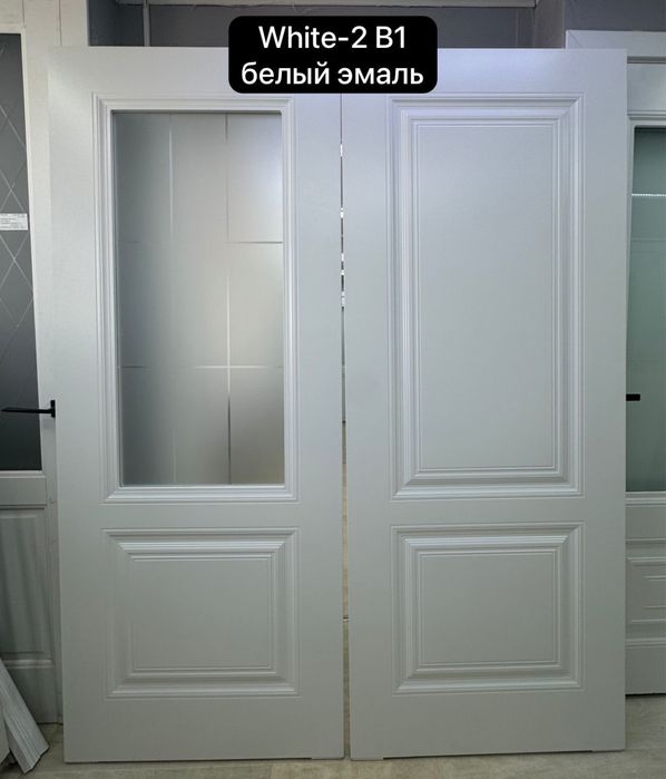 Двери ЭМАЛЬ от 49500 ₸