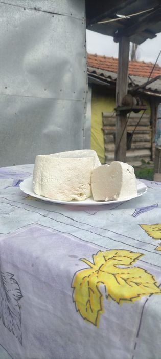 Branza de oaie de vanzare