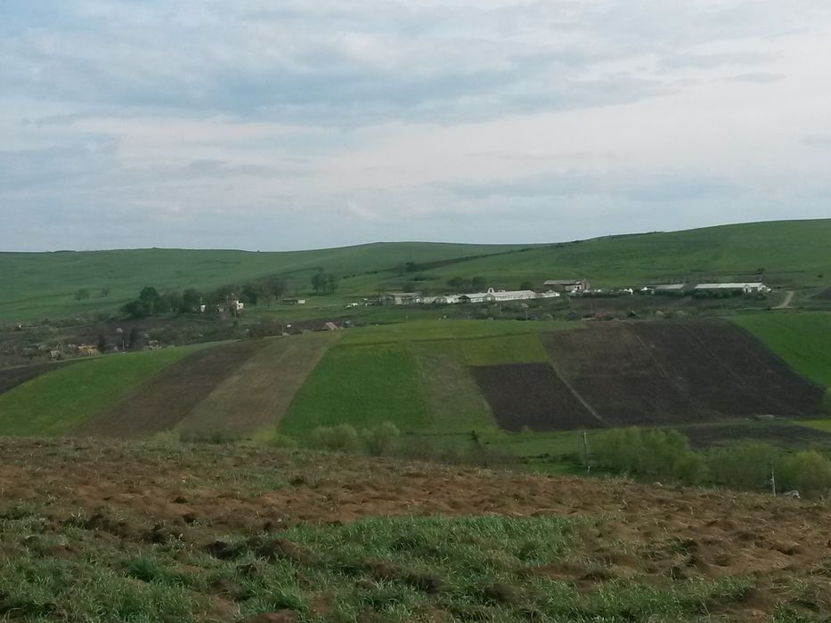 Vand sau schimb teren intravilan6,5ha si constr. la 40 km de Cluj