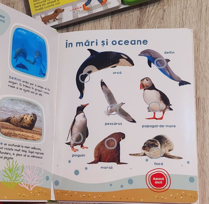 Lot cărți  educative cu sunete