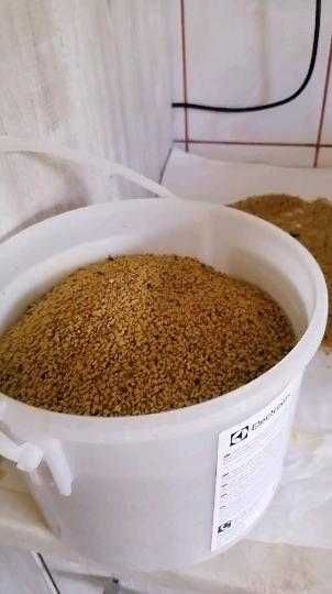 Vând polen crud congelat