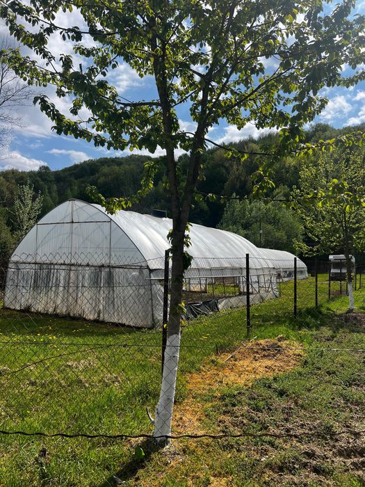 De vanzare teren Telega