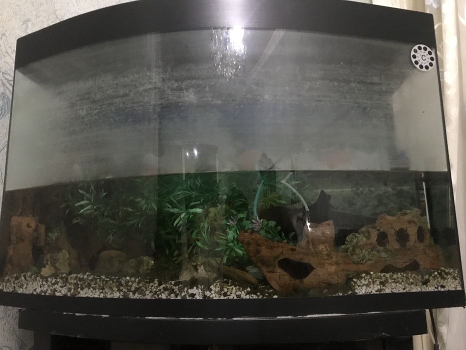 Продоётся аквариум 160 лт