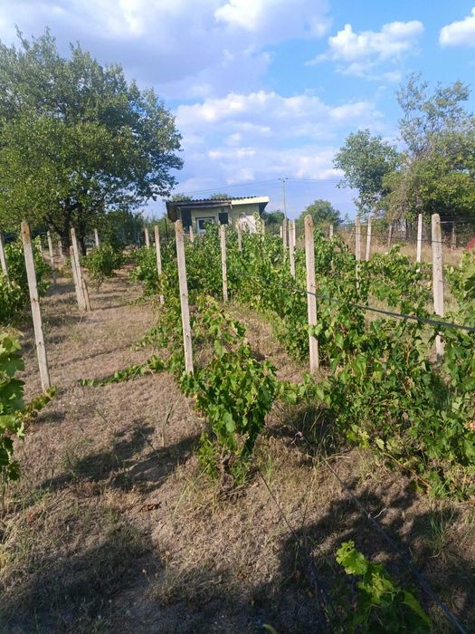 556-Продава се парцел с площ от 557 кв.м. в местността "Обзор"