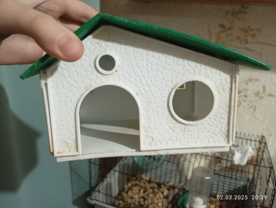 Продаю крыску с клеткой