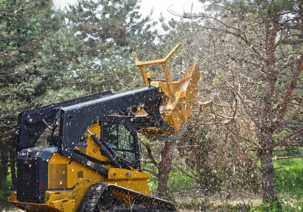 Servicii Profesionale de Defrișare a Terenurilor Vegetației Ambrozii