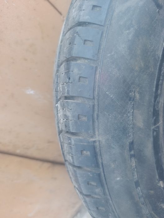 Продам шина одна штук