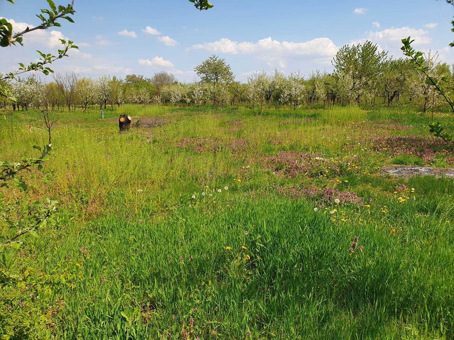 Vand 2 parcele 4,3 si 14,13 ari, intravilan cu PUZ, zona Dara