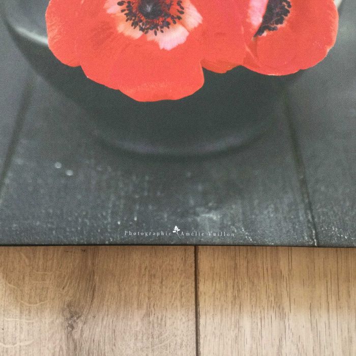 НОВА картина / репродукция / пано на цвете мак 30 х 30 см