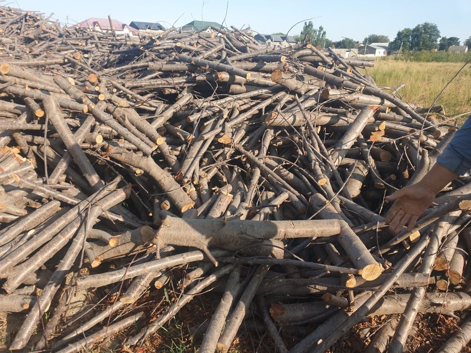 Дрова Утин фруктовый деревья