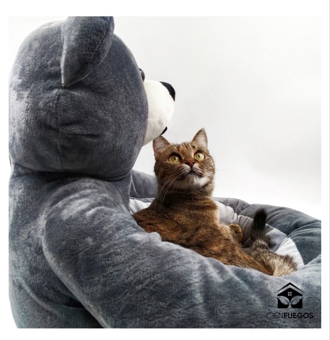 Лежаки, домики для животных