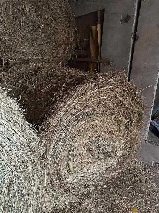 Продажа рулонов сена