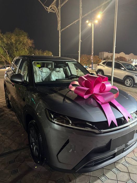 Bantik avto BVD Malibu  Tesla