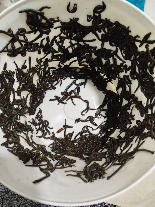 Zuluk пиявки Sotiladi