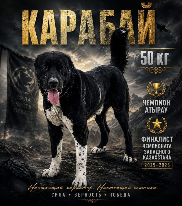 Продаётся алабай