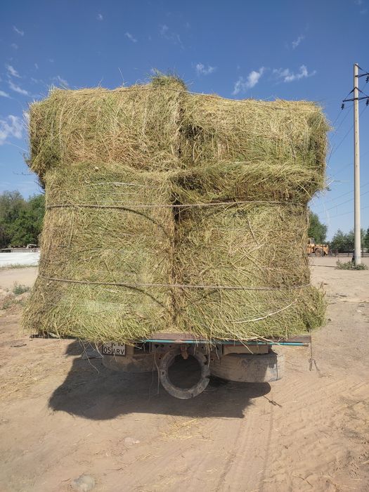 Сено в рулонах жоңышқа