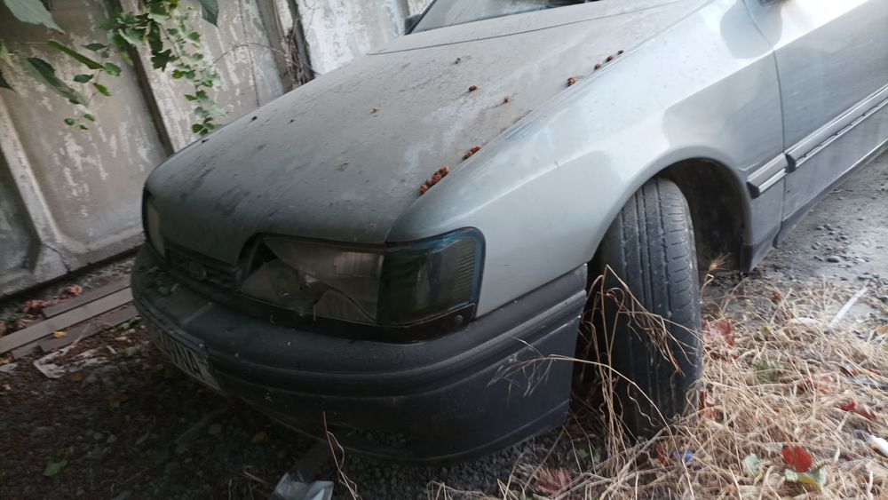 Dakument hamma narsasi bor