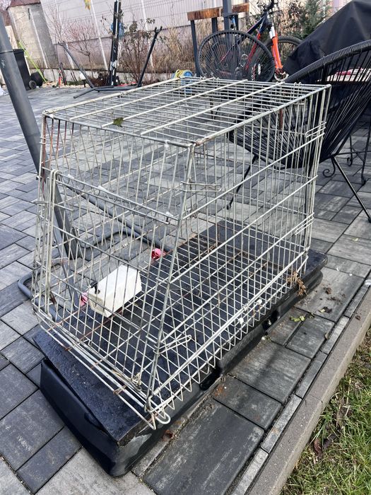 Cusca pliabila animalute, destul de incapatoare