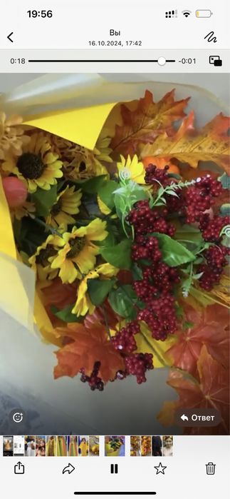 Прокат плащ на осенний бал