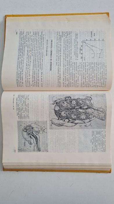 Fiziologie Petru P. Groza 1991