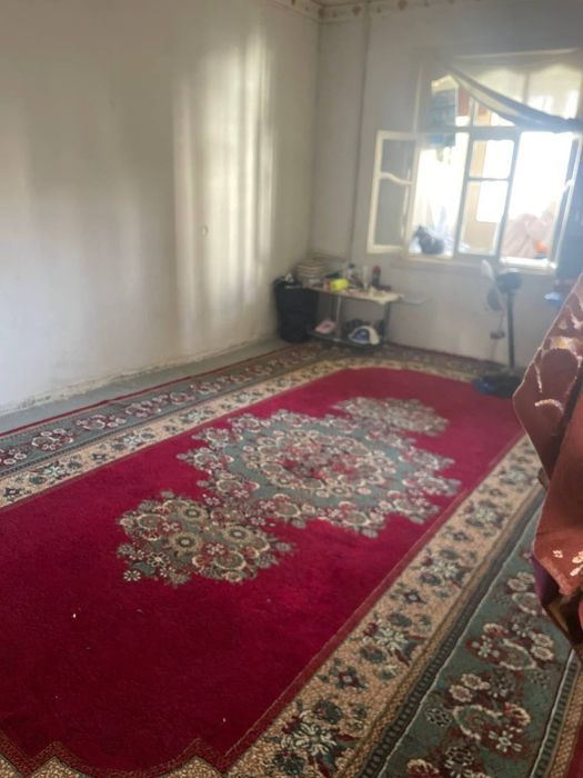 Ogil onasini jinsiy aloqa qilishga kondirishga harakat qiladi