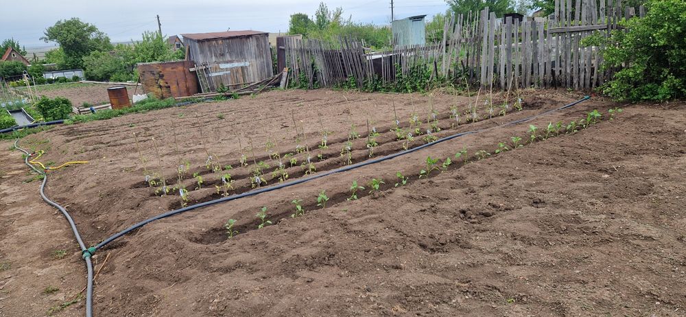 Продам дачу Уралочка