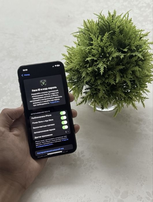 Iphone.XS.(256gd.)идеал.