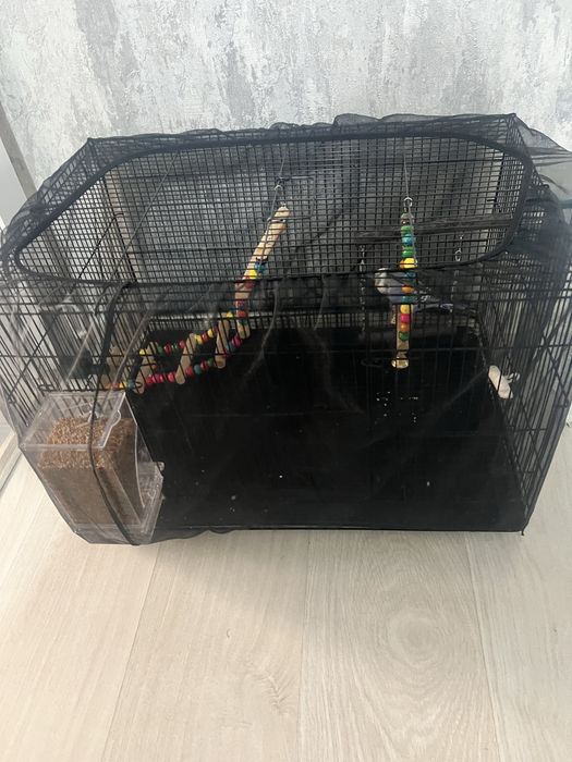 Продам клетку для птиц с попугаем