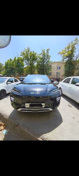 Аренда BYD champion