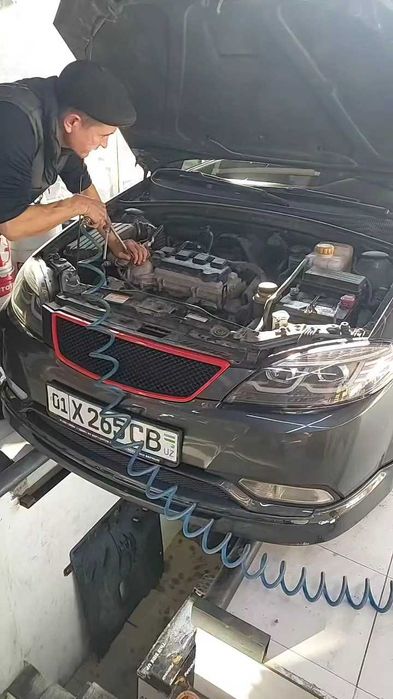 Laccetti gentra evro mexanika цвет gk2