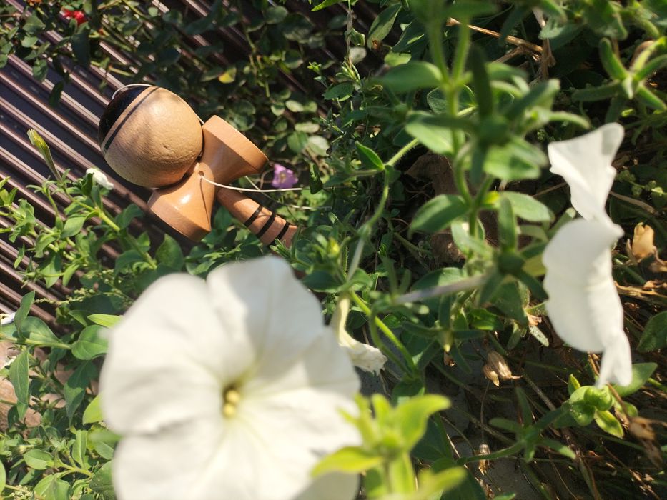 Vând kendama neagra