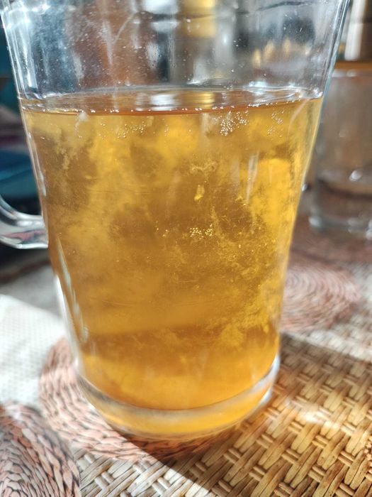 Kefir de lapte chefir ciuperca tibetana si kefir de apa kombucha Scoby