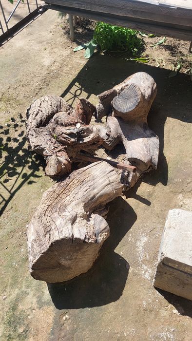 O'tin sotiladi tekingaxam bervoraman