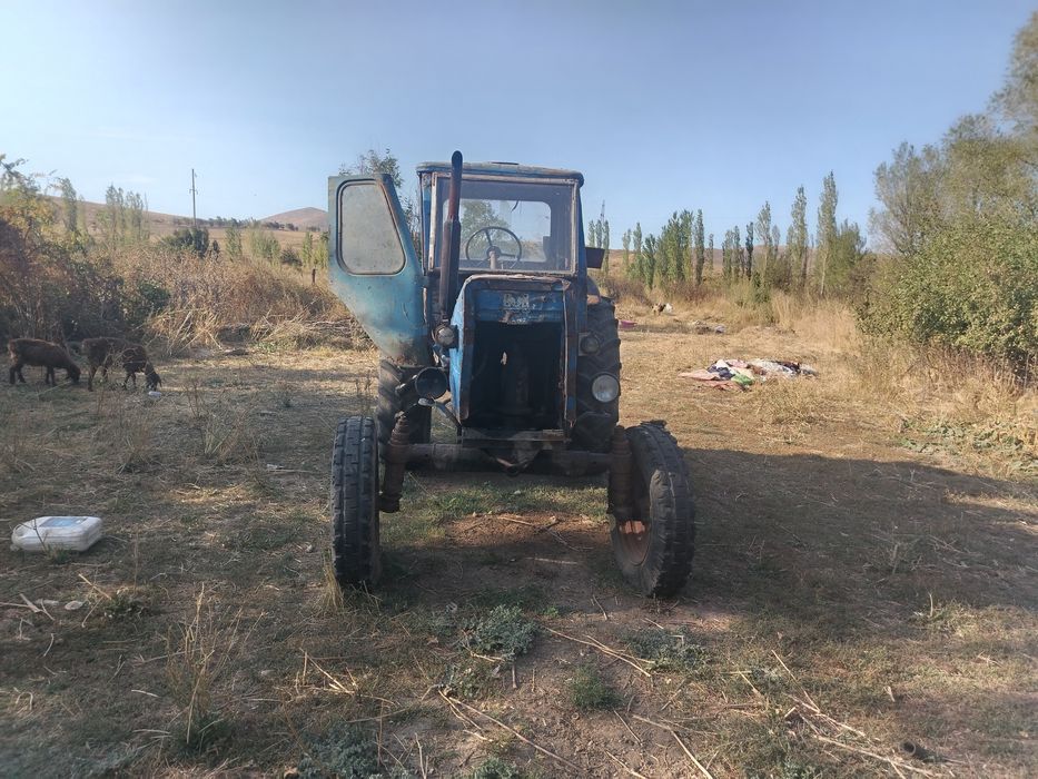 Мтз 50 нахаду журип тур