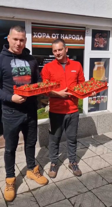 Разсад ягоди "Клери"