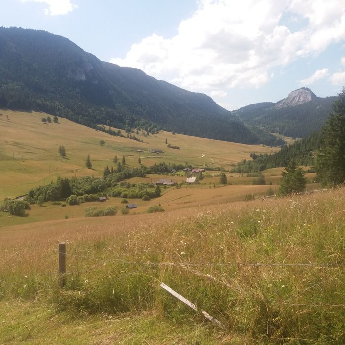 Fân de munte calitate I cu transport