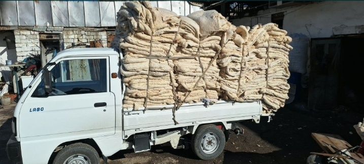 Paxta olamz Пахта переработка Paxta qayta ishlash