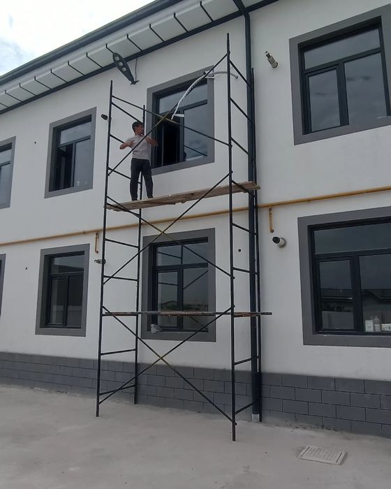 Lesa  apolovka arava bayon arenda  dastavka