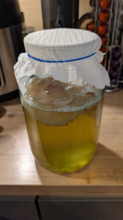 Ciuperca Kefir de lapte si ciuperca kefir de apa