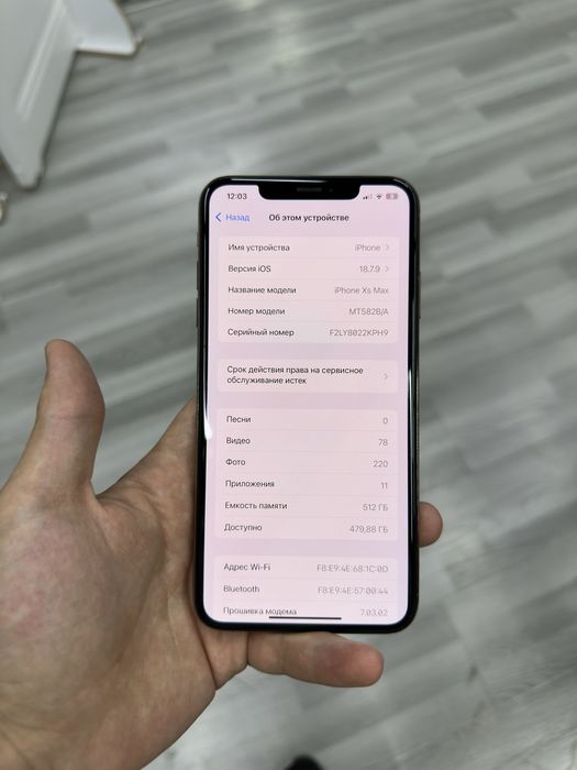 iPhone Xs Max 512 GB