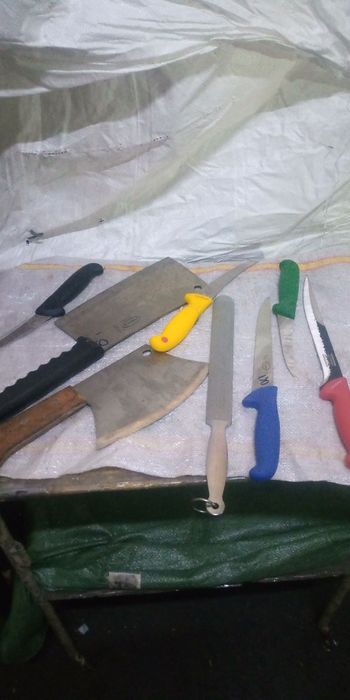 Satare pt tomcat carne