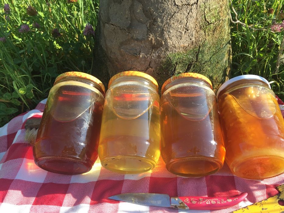 Родопски пчелен мед