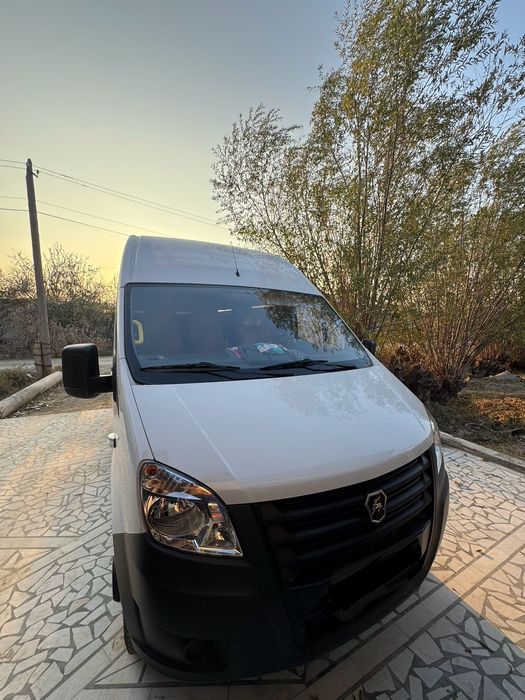 Газель нехт 2024