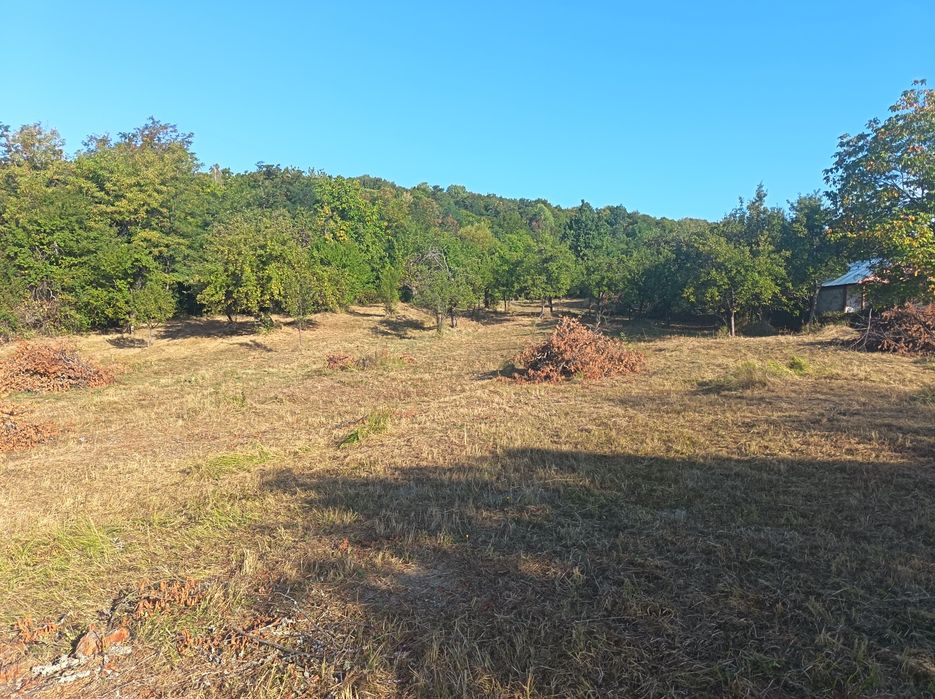 Teren Intravilan 9.948 mp de Vânzare în Horezu (Zonă Turistică) – Toate Utilitățile, Deschidere 88 m la Asfalt (Dezmembrabil în 2 loturi))